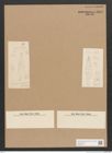Diatomeae indet. Zeichnungen Sammlung Grunow Nr. 1823 (NHMW-BOT-W0368744)